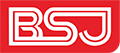 BoShiJie Technology original logo
